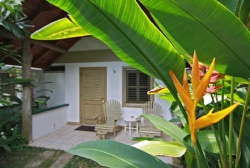 Hotel Kariwak Village Holistic Haven Crown Point