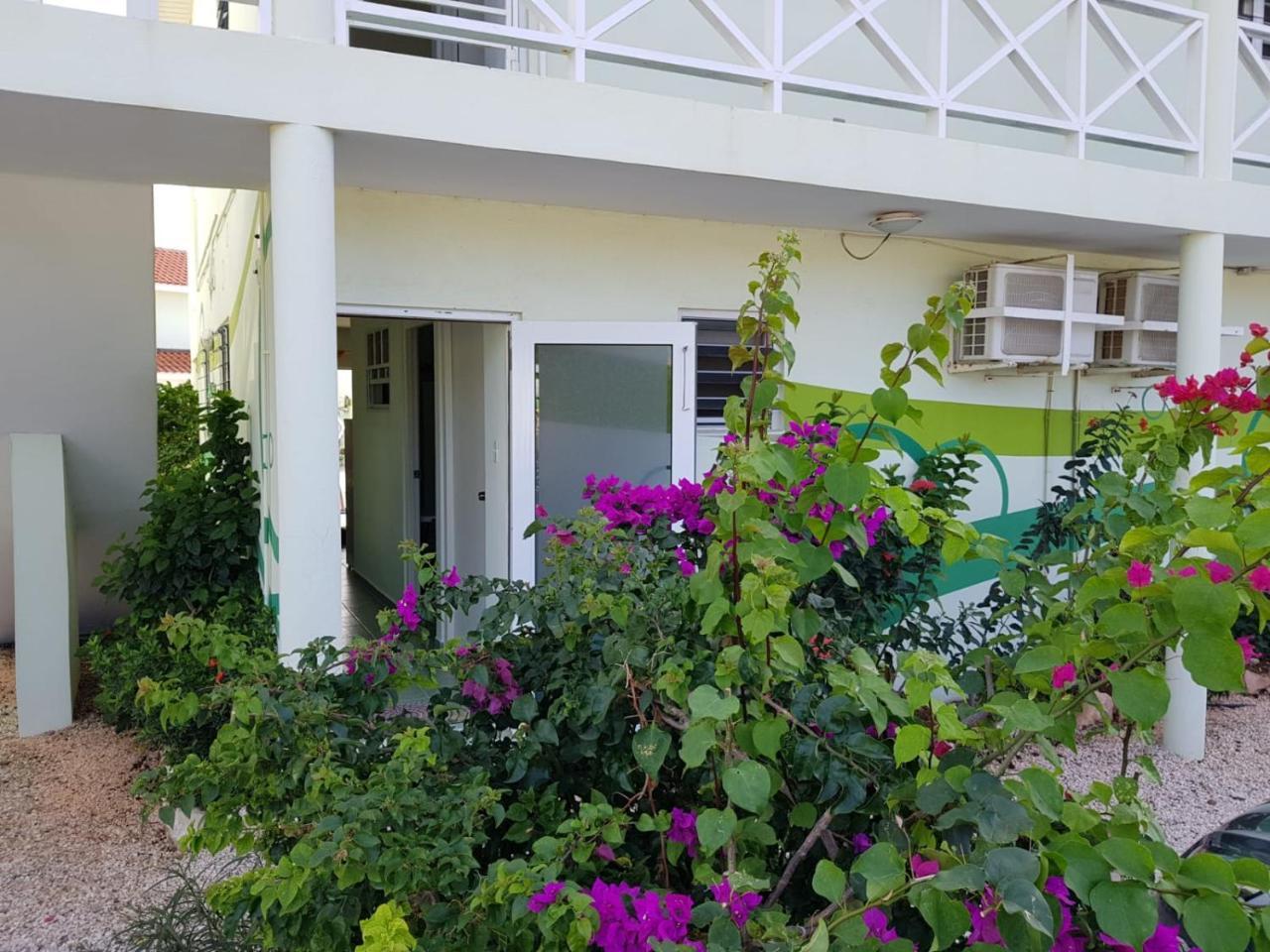 Alifra Holiday home