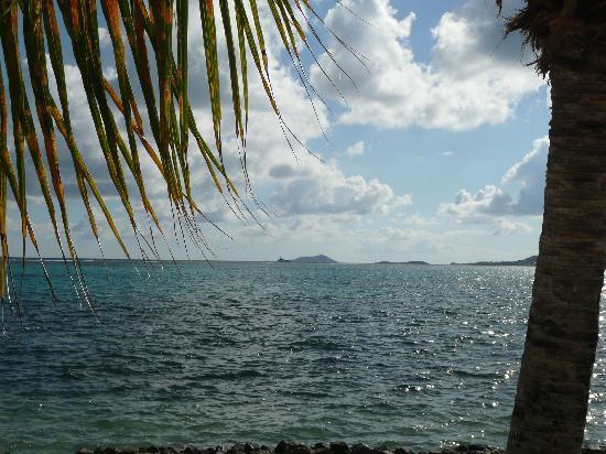 Club St. Croix And Tennis 3* Christiansted