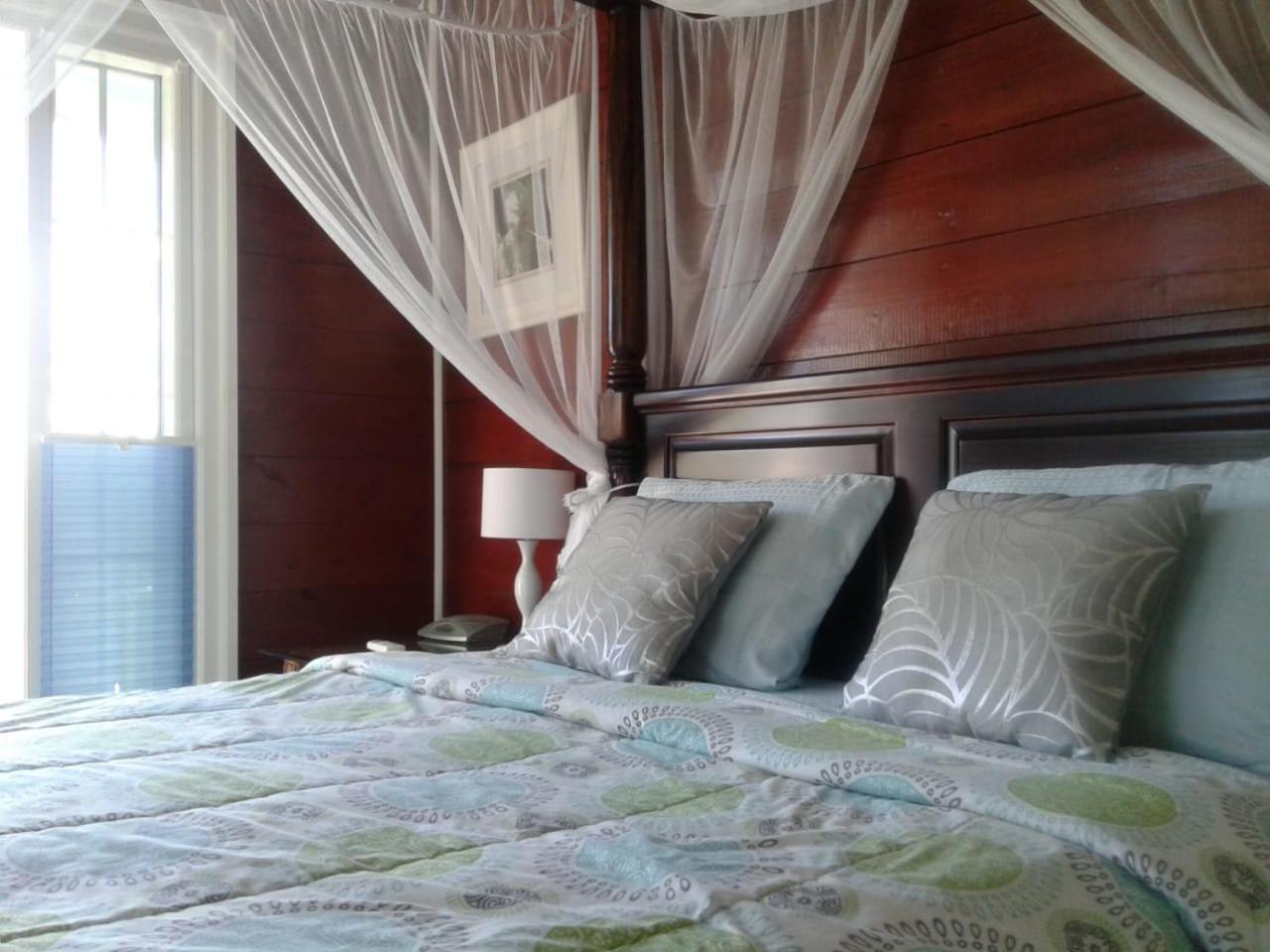 Palm Castries