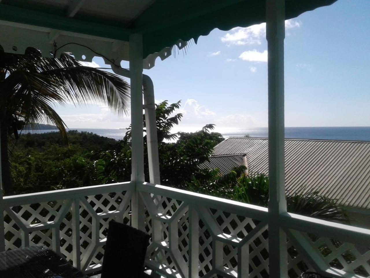 Lodge Palm