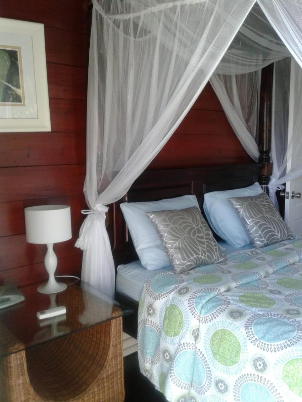Lodge Palm