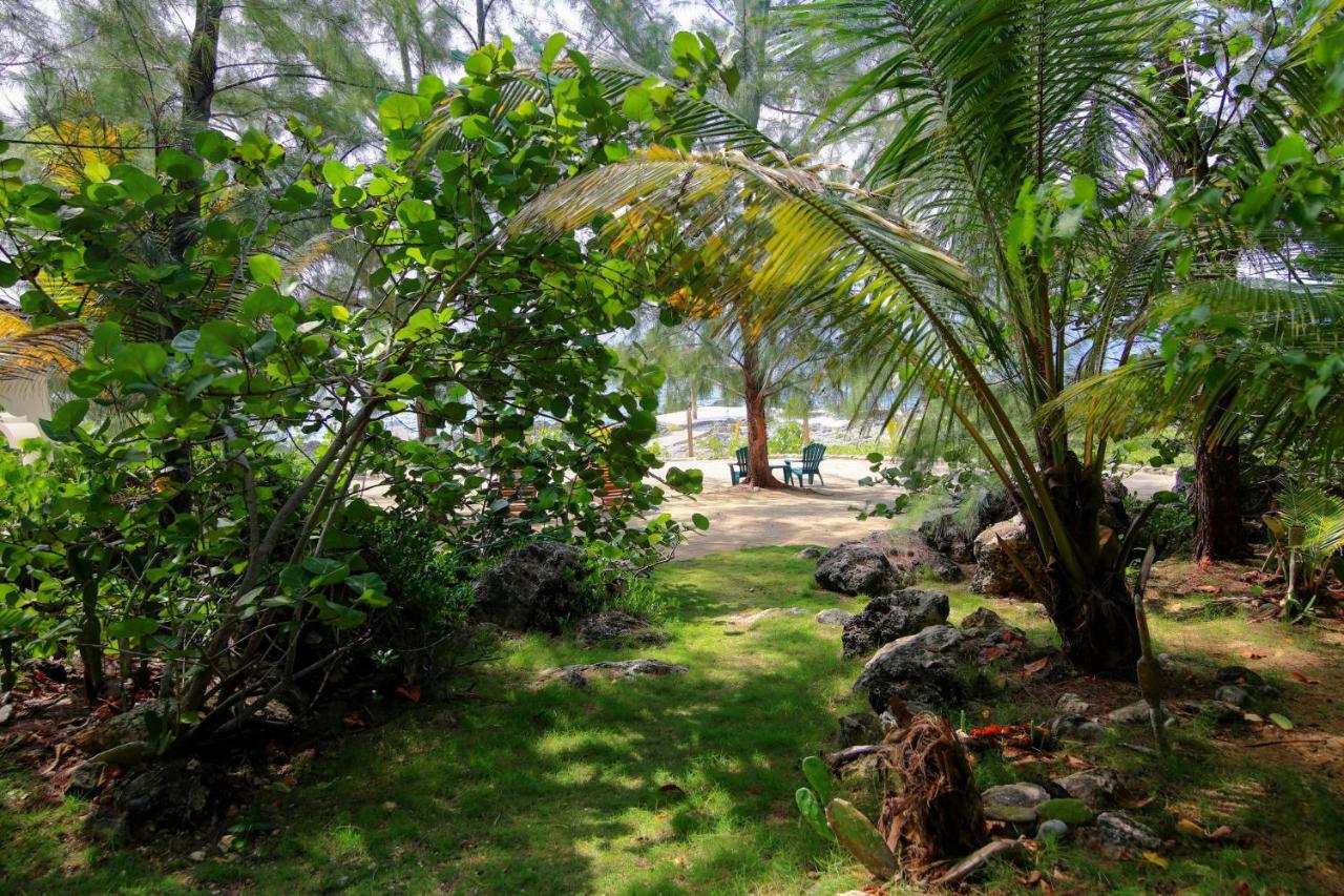 Guest house Tingalaya's Retreat 3*