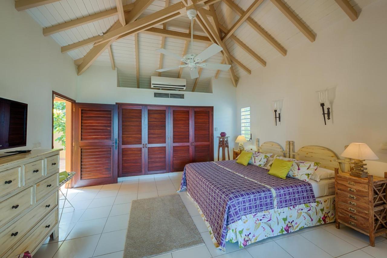 Coccinelle * Orient Bay