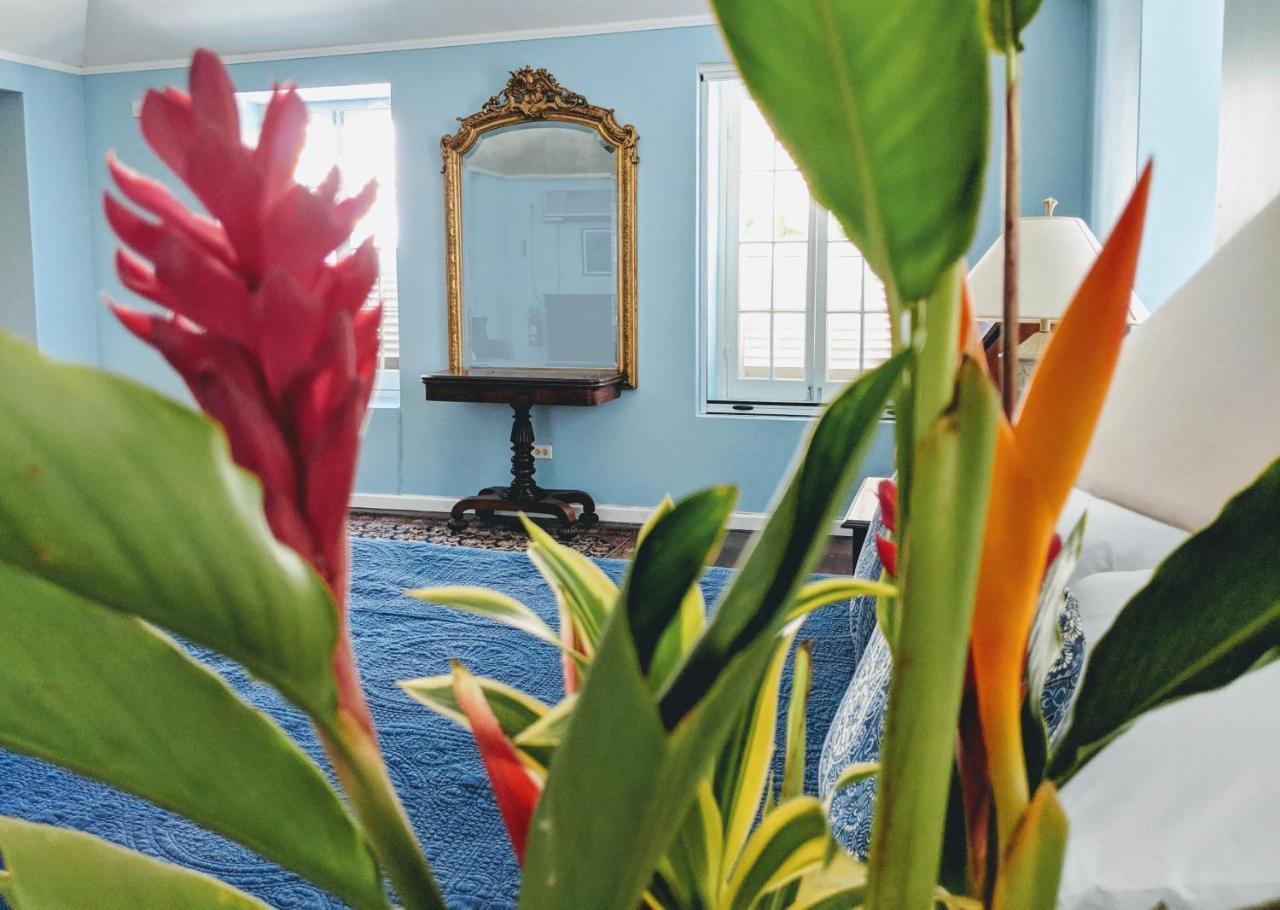 Colleton Great House