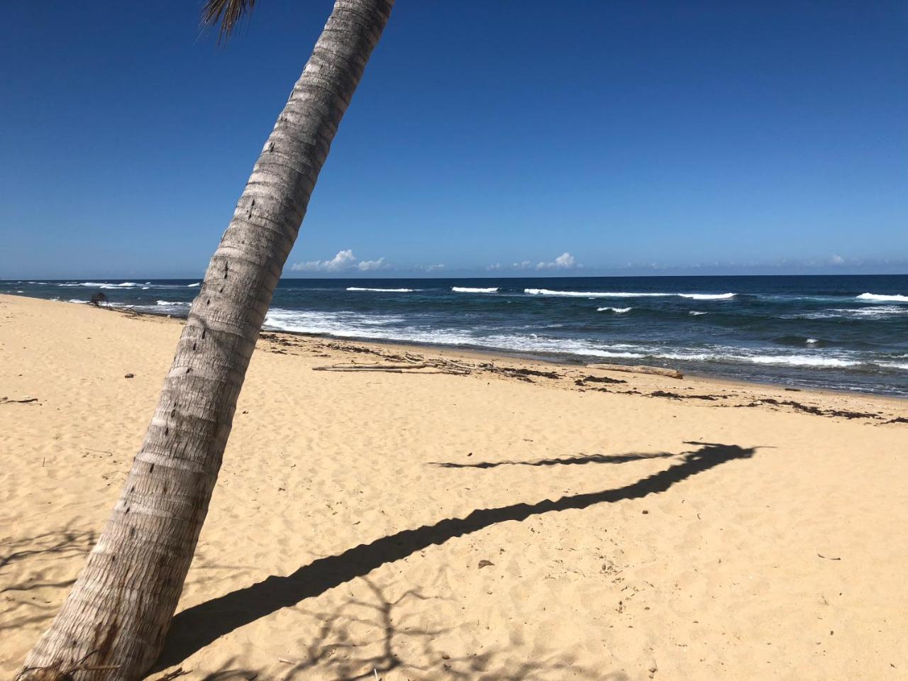 Apartment Jobos Beach Isabela