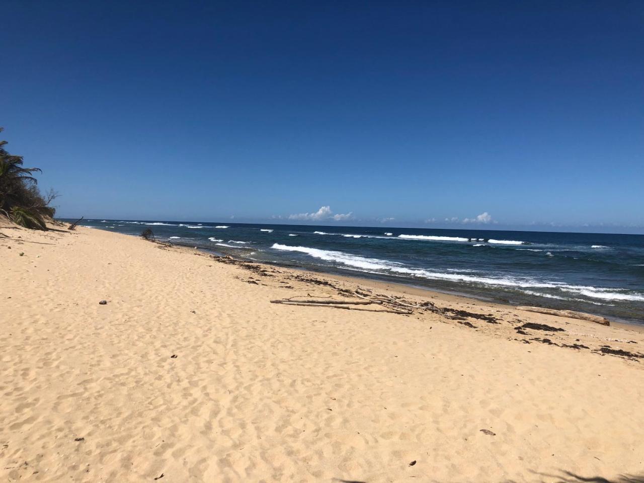 Apartment Jobos Beach