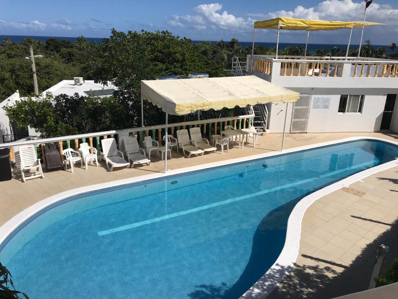 Seahorse 4*