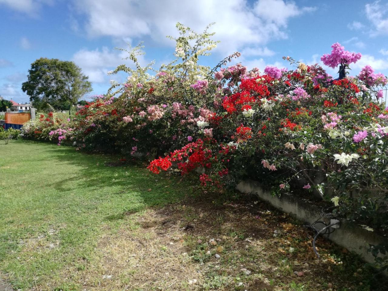 Au Jardin Debeausejour