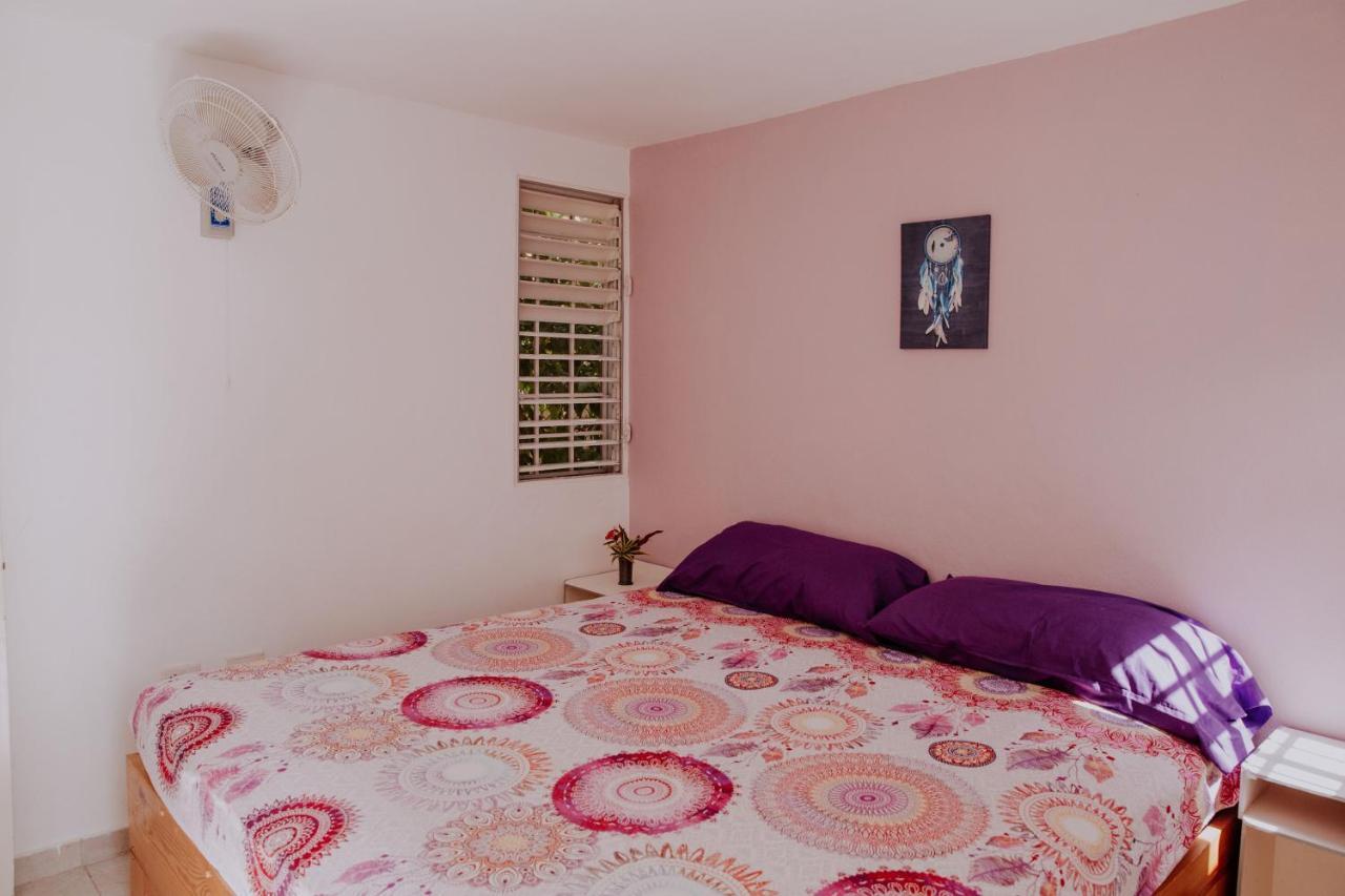 Homestay Leonardo Wellness *
