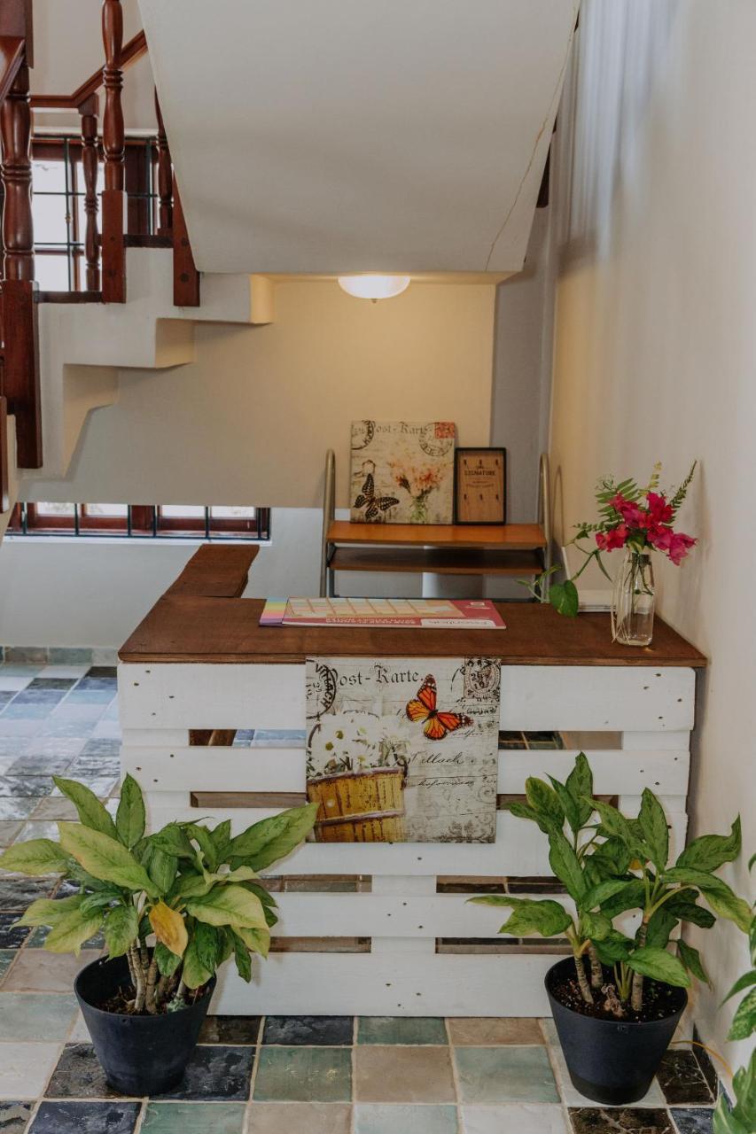 Homestay Leonardo Wellness Punta Cana
