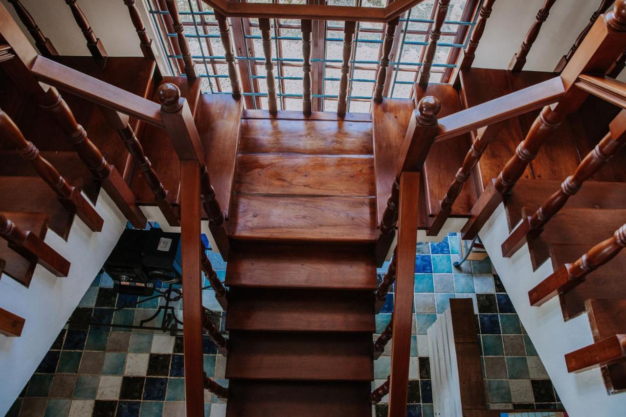 Homestay Leonardo Wellness *