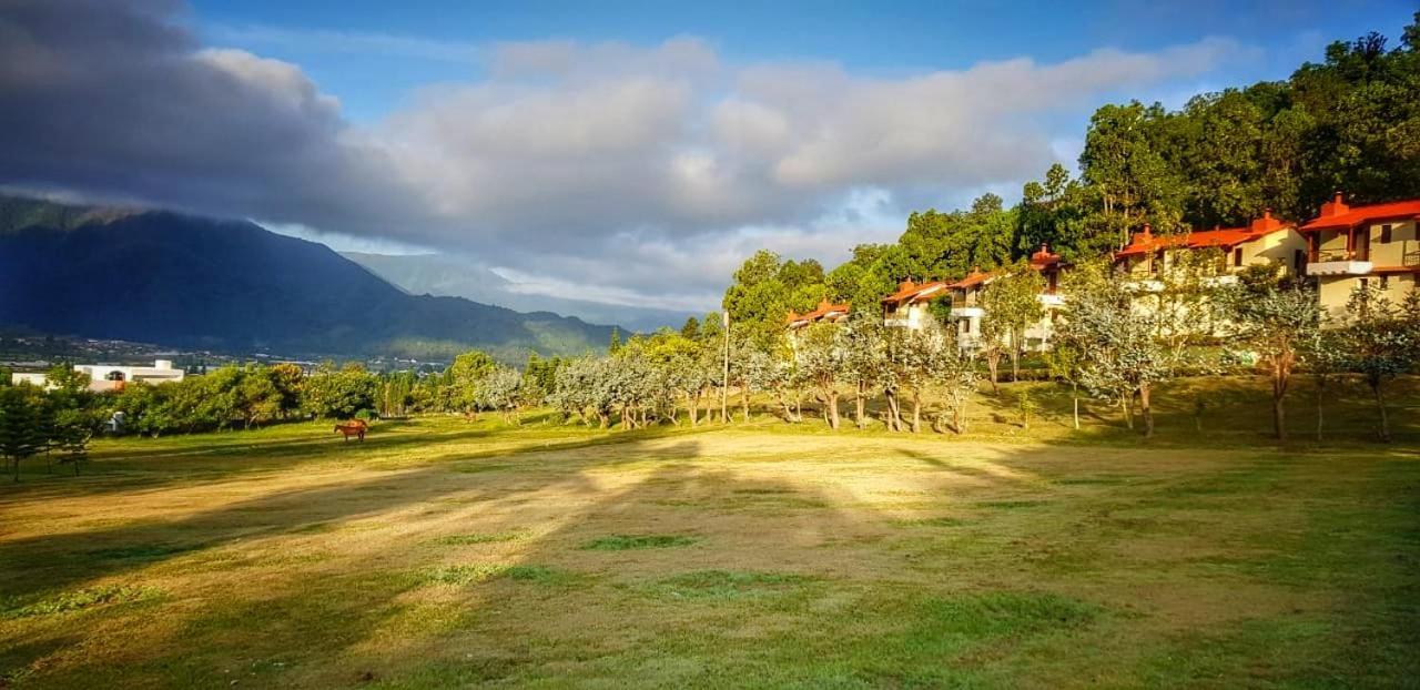 Alojamento Altocerro Constanza