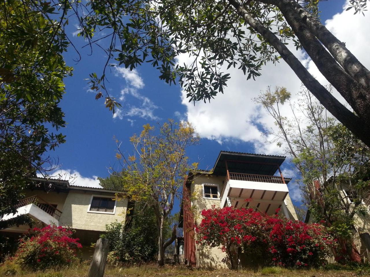 Alojamento Altocerro *