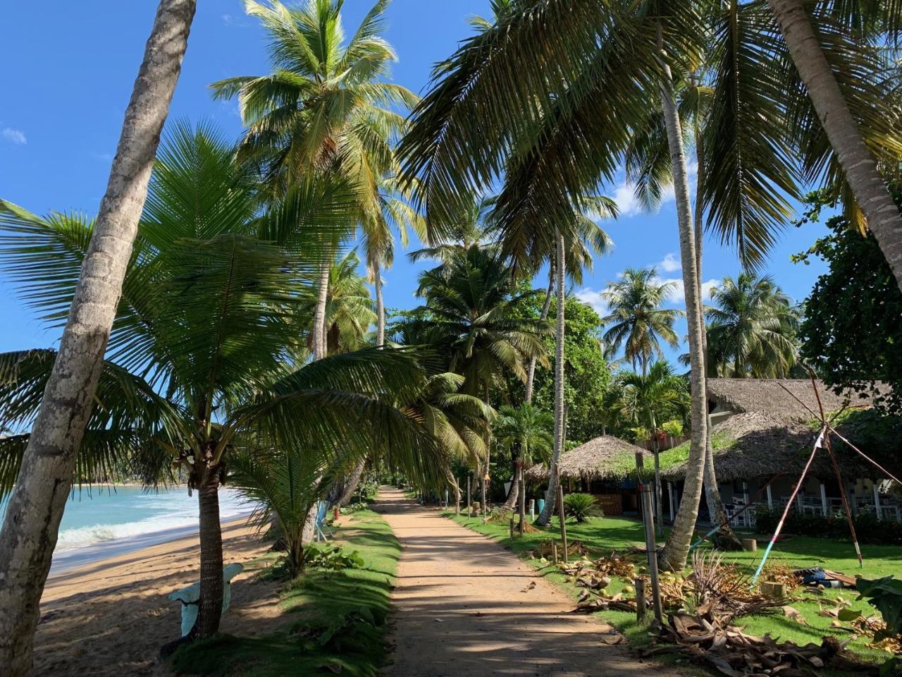 El Mosquito Boutique Playa Bonita