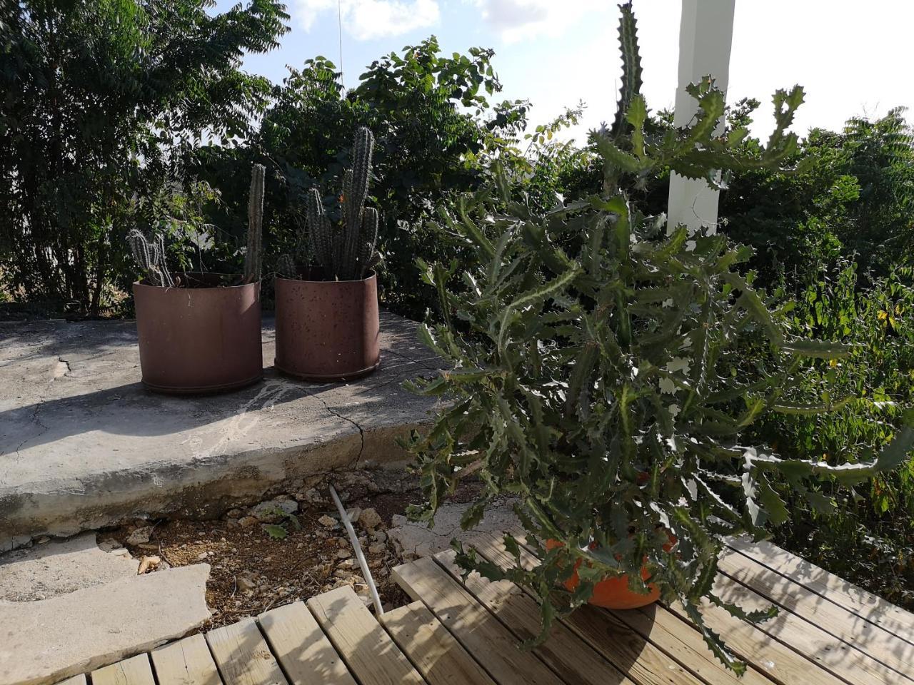 Holiday home Kt169 Kaya Telekomunikashon Brakkep *