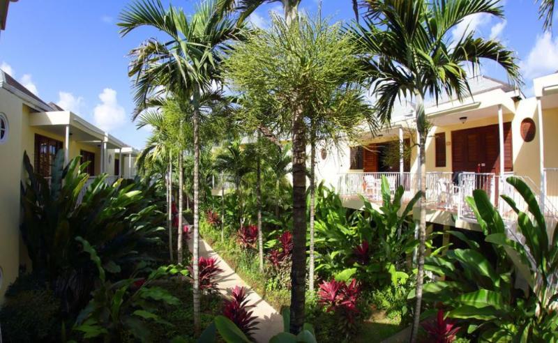 Palms 3* Negril