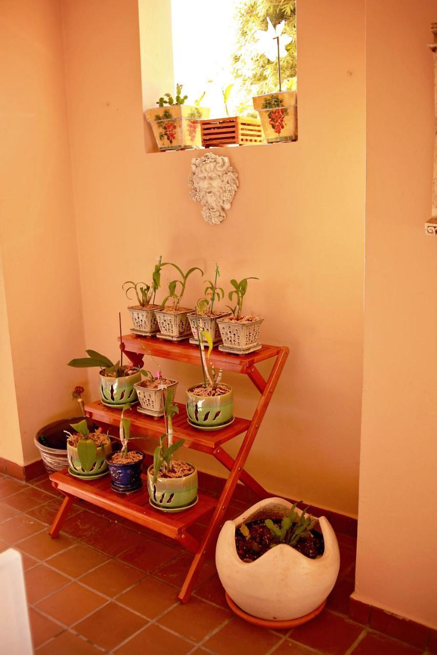 Solana Beach House Apartment