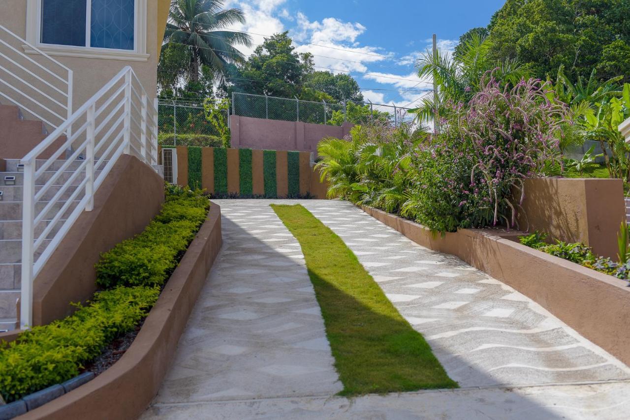 Tropical Luxury Dreams *