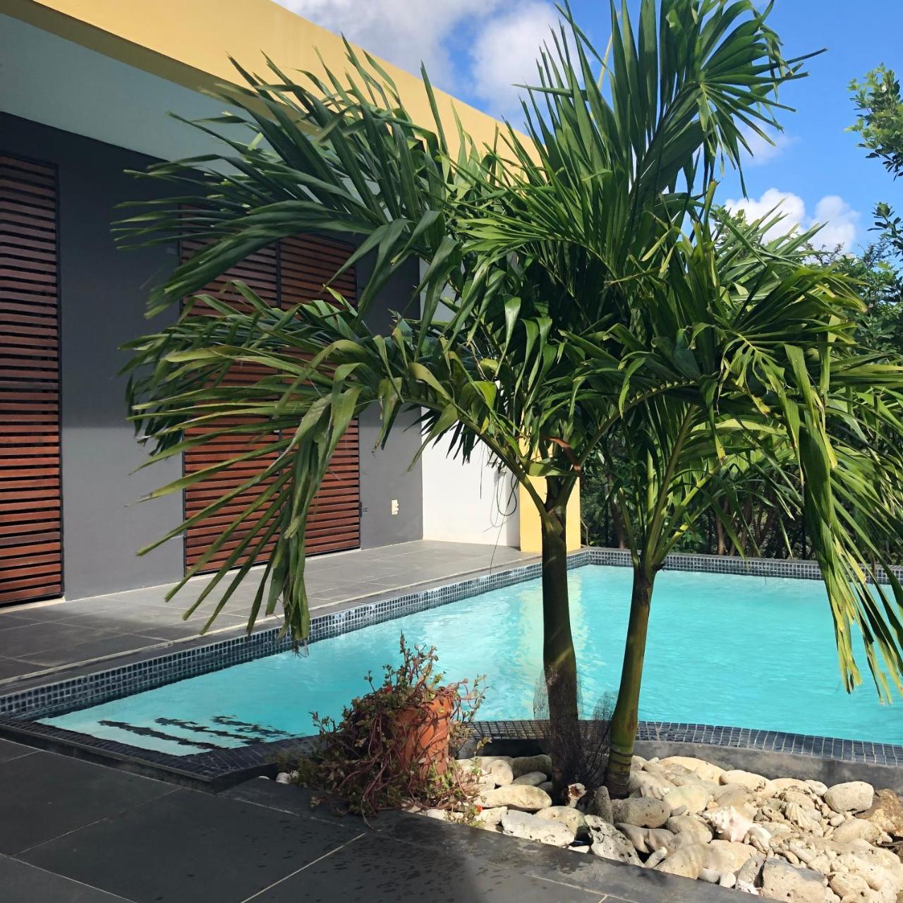 Villa Contour *