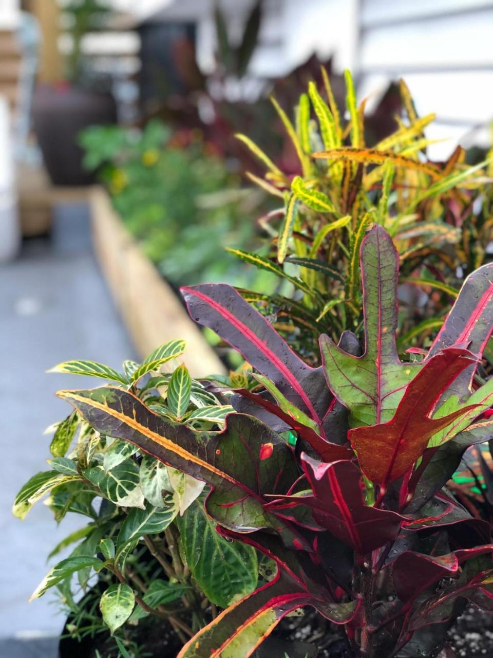 Albergue Santurcia (adults Only)