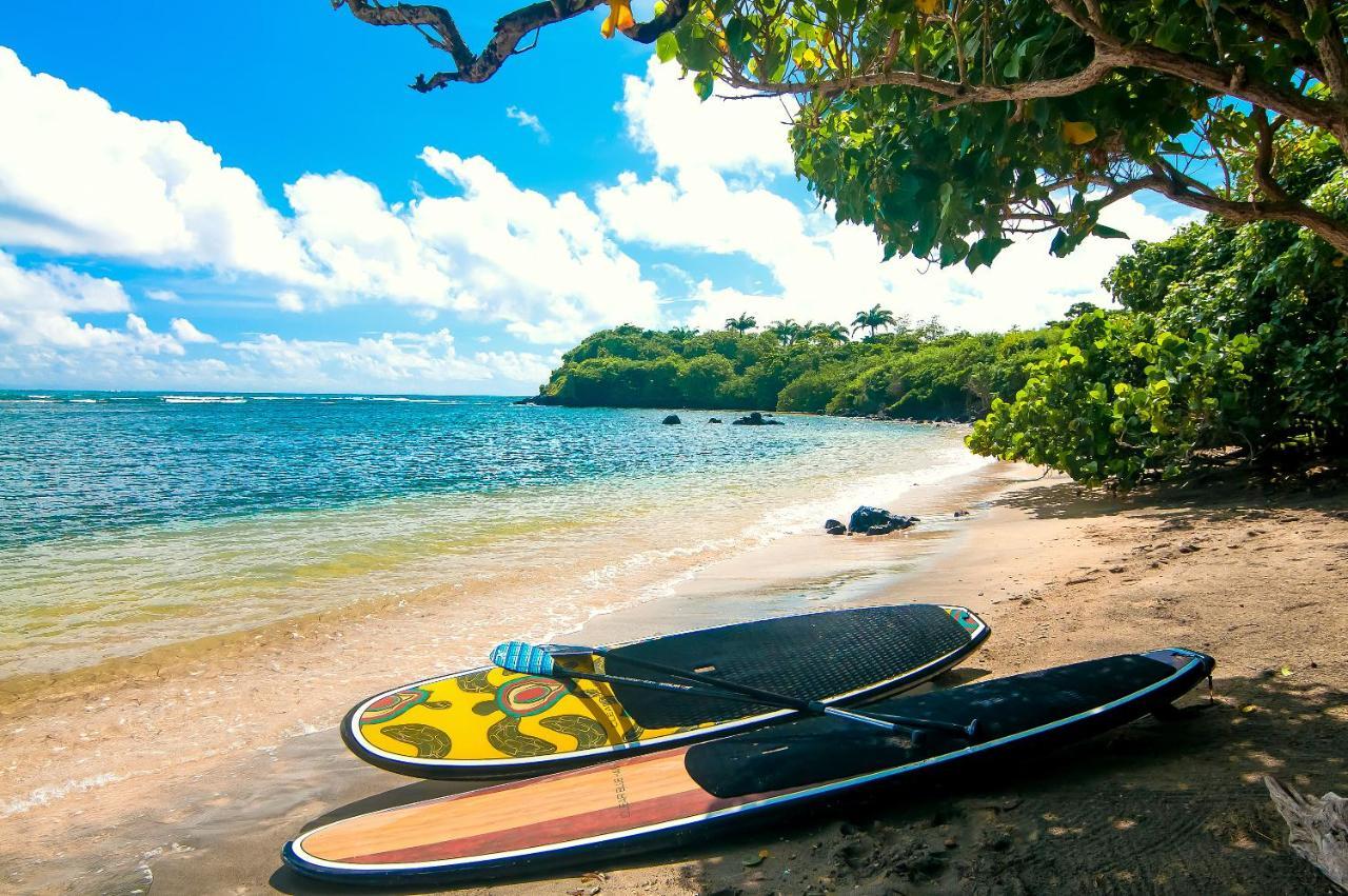 473 Grenada Boutique 4* St. George's
