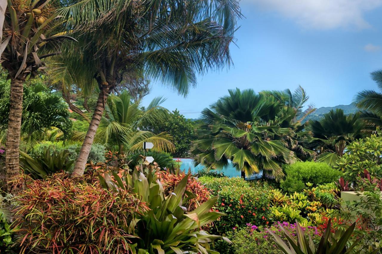 473 Grenada Boutique 4*
