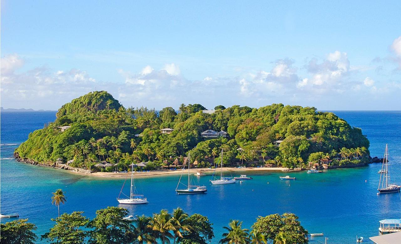 Young Island