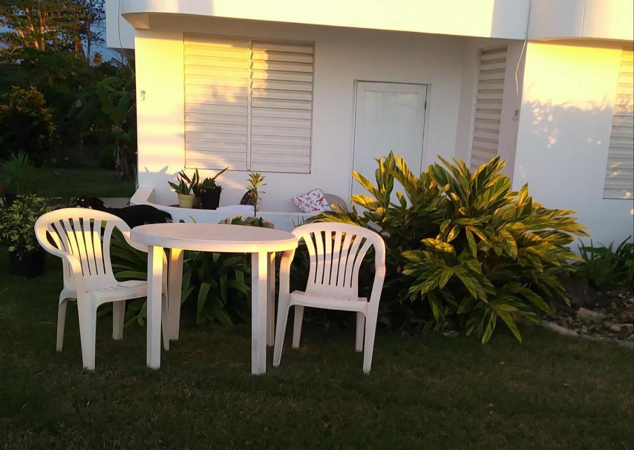 Ocean Dreams Aguada