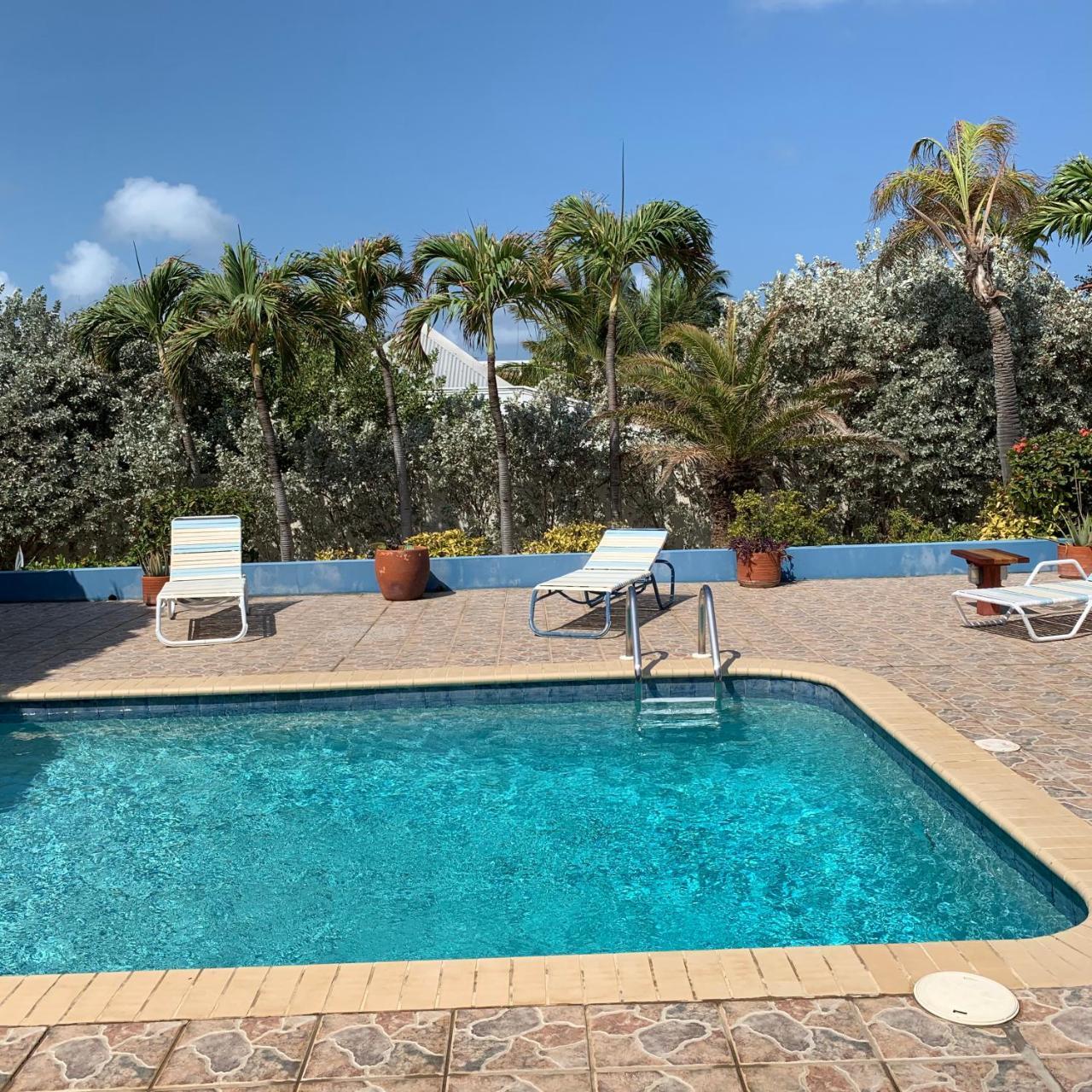 A Beautiful Aruba Salina Cerca Villa