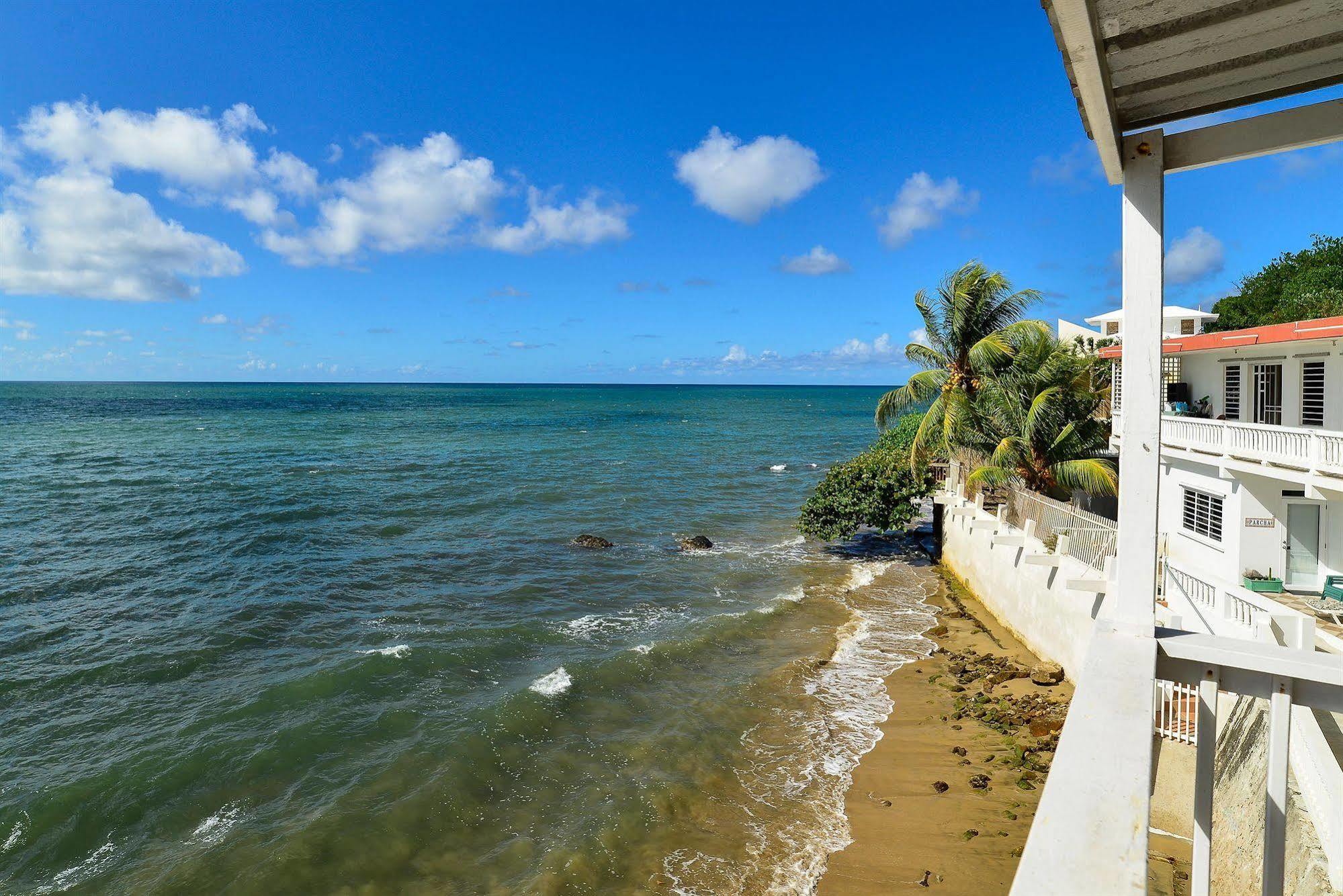 Lemontree Oceanfront Cottages Rincon