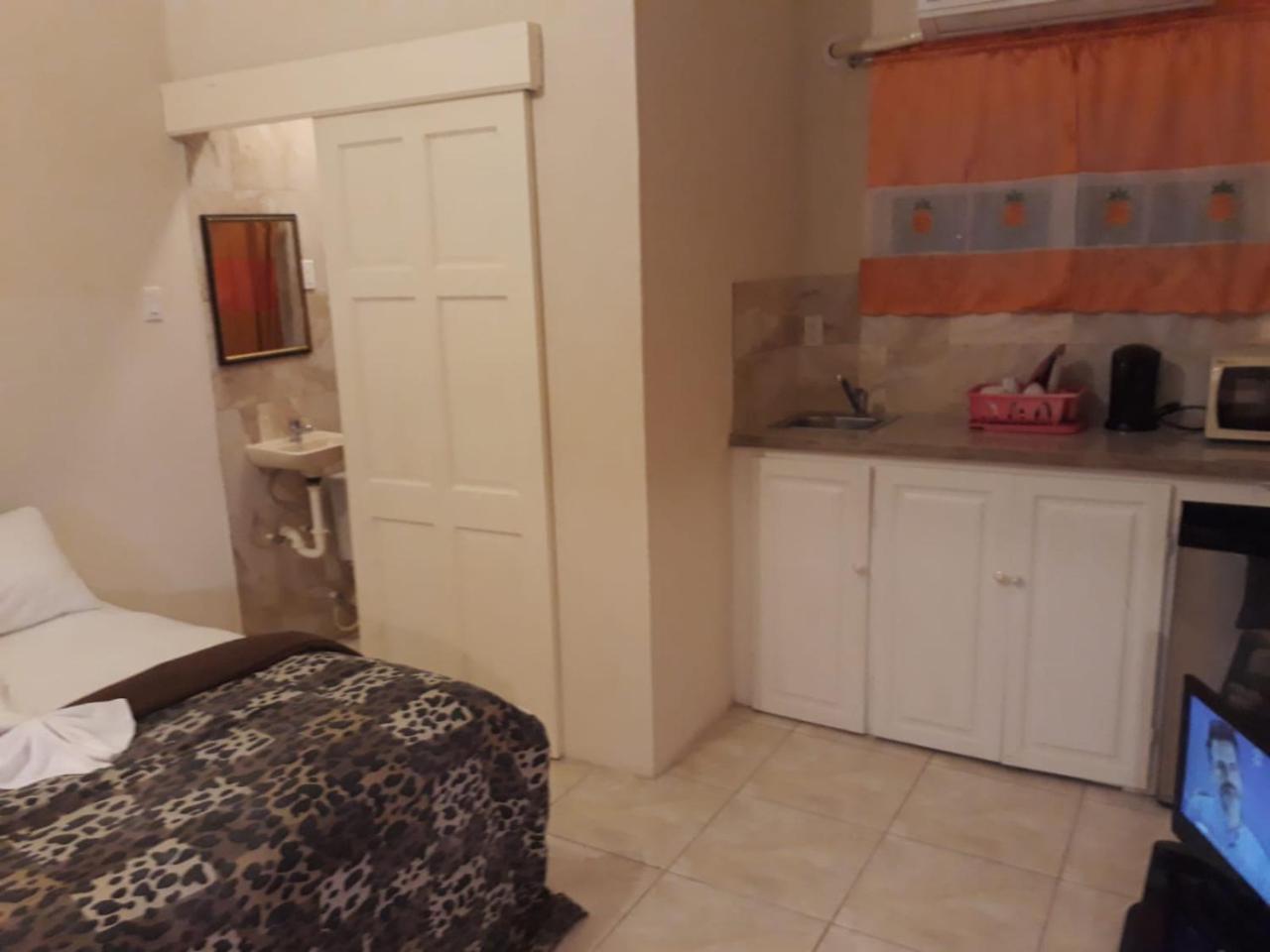 Haven House Apartment Christ Church