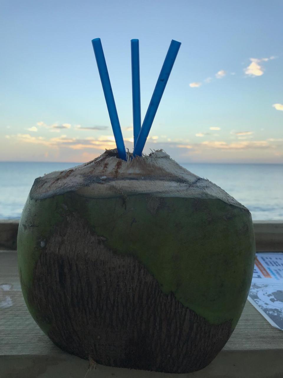 Apartment Aquatika Beachfront And Rainforest Views Loiza