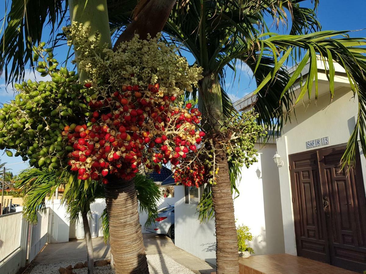 Villasafir 15 Niet Boekbaar * Palm Beach