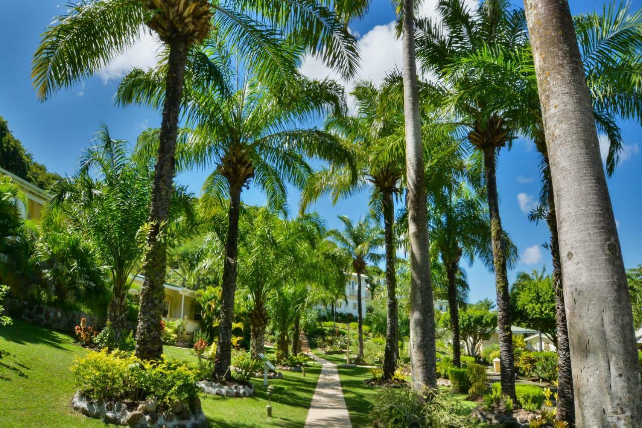 Blue Horizons Garden