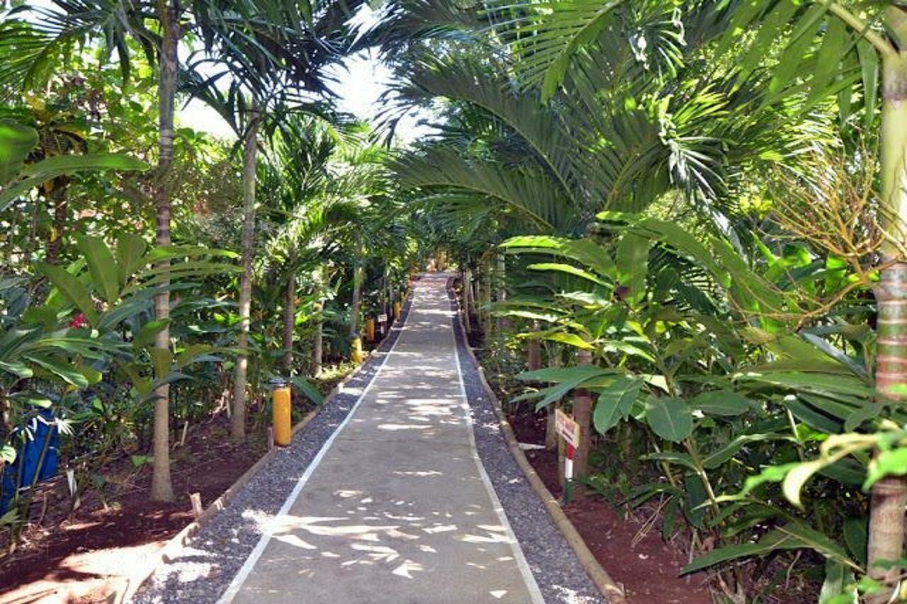 Bay View Eco &