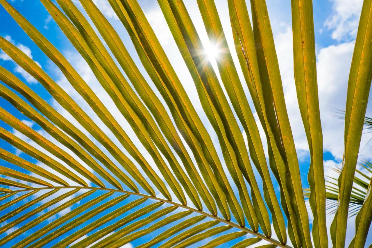 Beaches Bonaire Playa