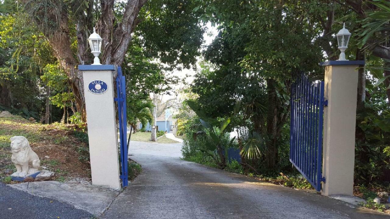 Indigo Sunny 1br In Private Gated Estate Apartment *