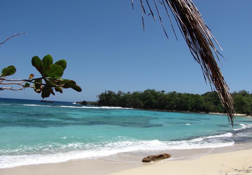 Polish Princess Guest house Port Antonio