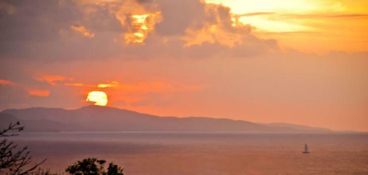 Mynt Retreat Montego Bay