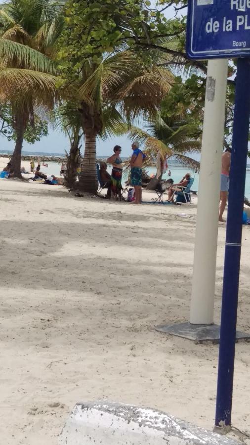 Cattanies Sainte-Anne (Grande-Terre)