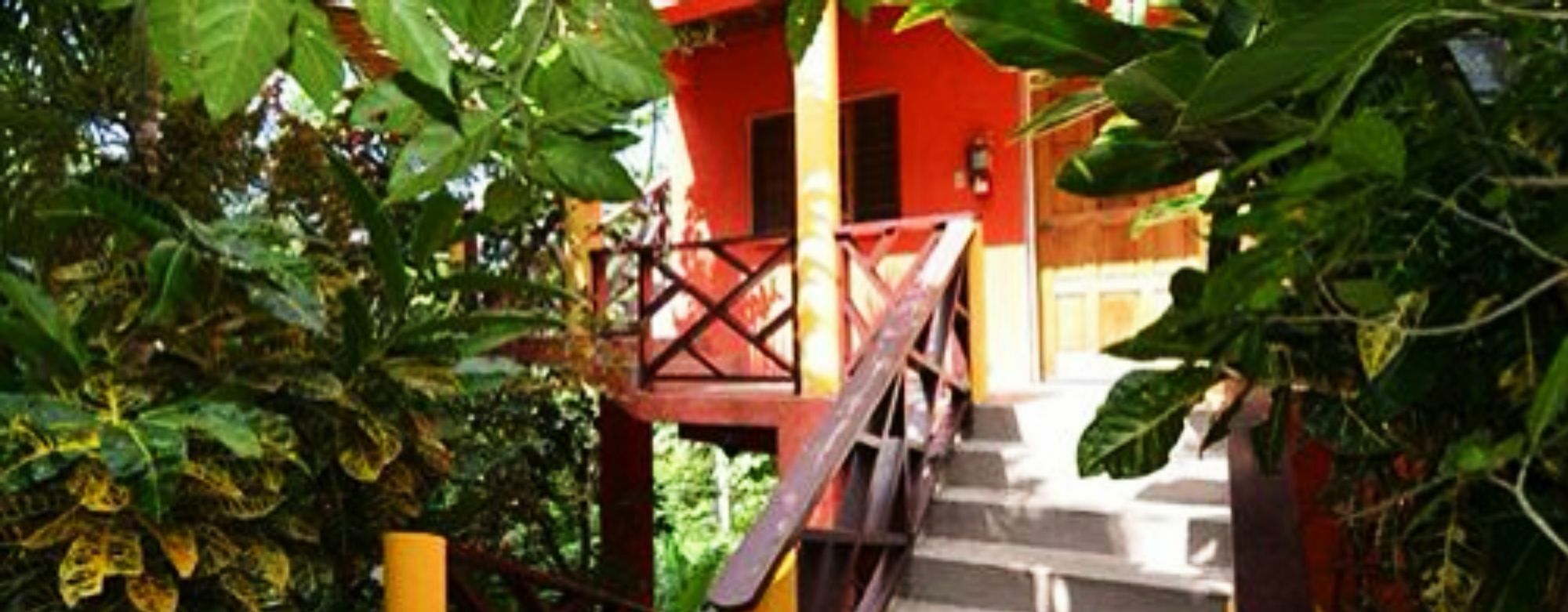Bay View Eco & Port Antonio
