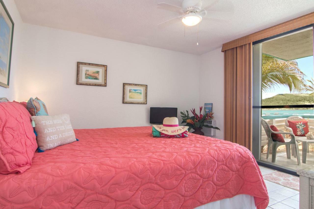 Oceanfront Watergate Villas & Apartamento Bolongo