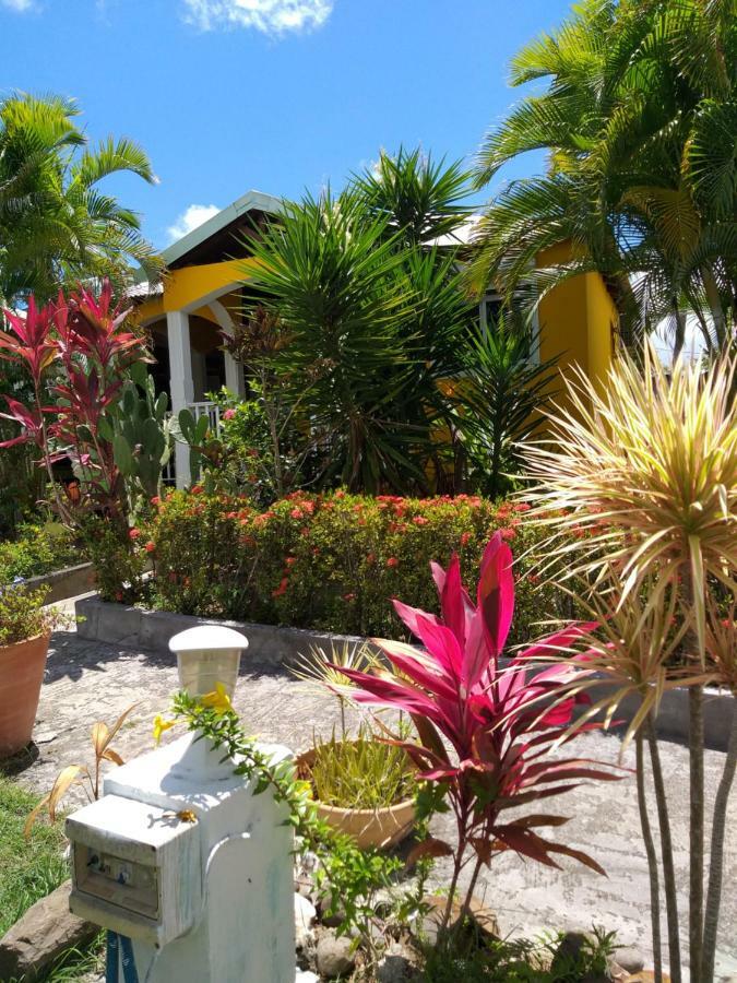Domaine De La Canne A Sucre Holiday home Petit-Canal