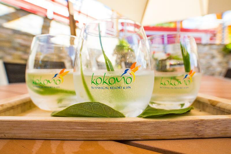 Kokomo Botanical - Caribbean Family 4*