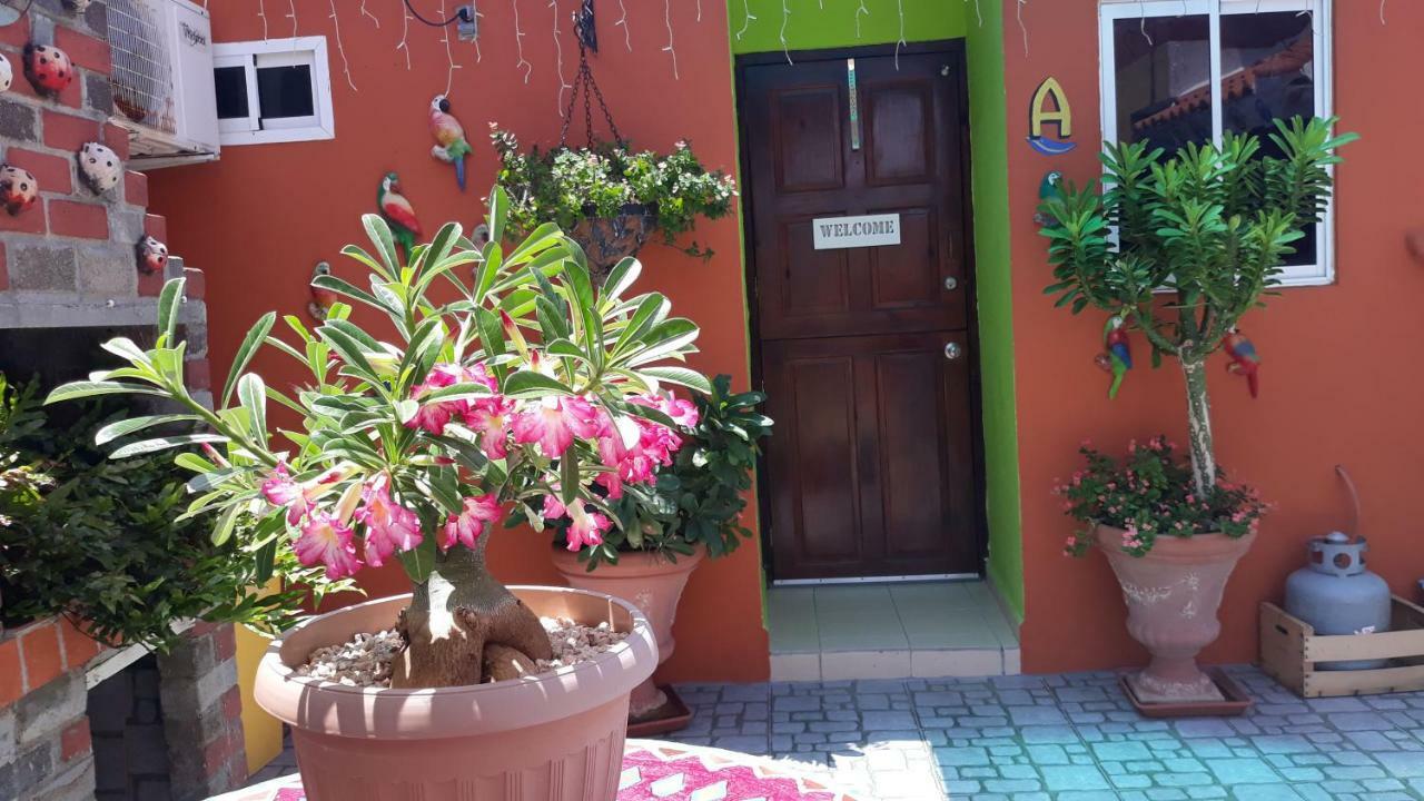 Terrakota Apartment Willemstad