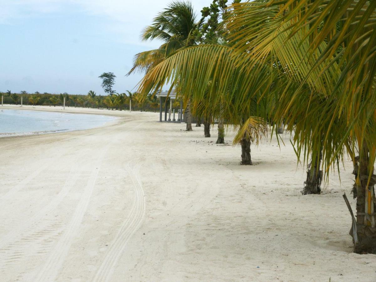 Aparthotel Jamnick Vacation Rentals - Richmond, St Ann, Jamaica