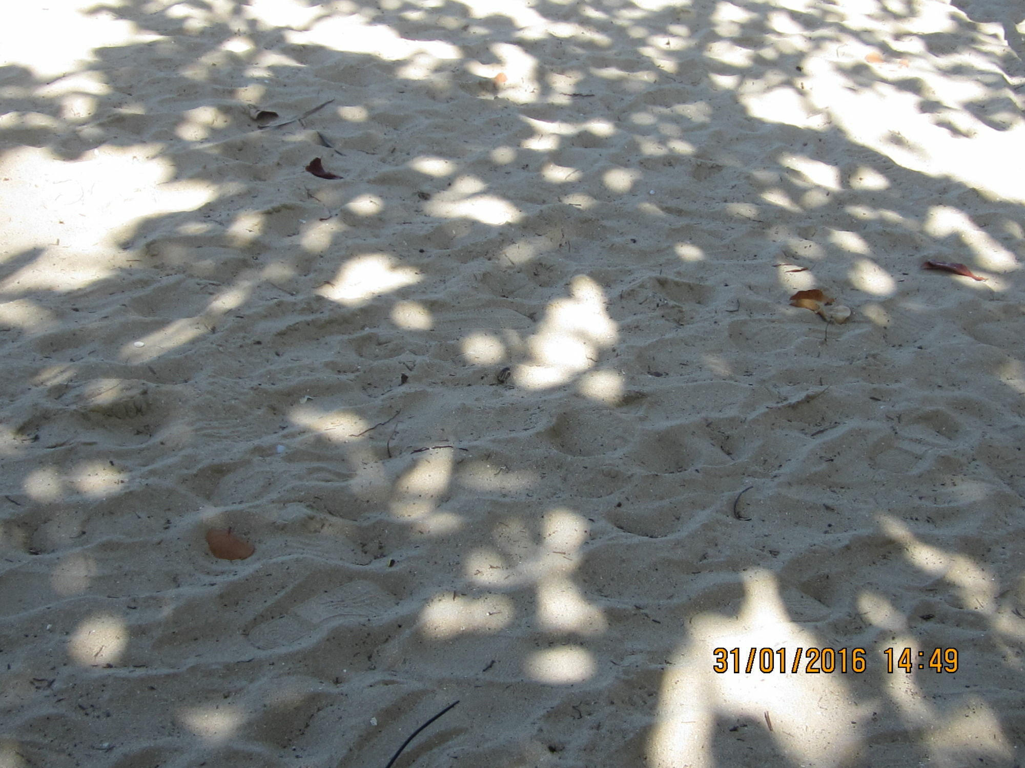 At San Marino Playa Dorada 3*