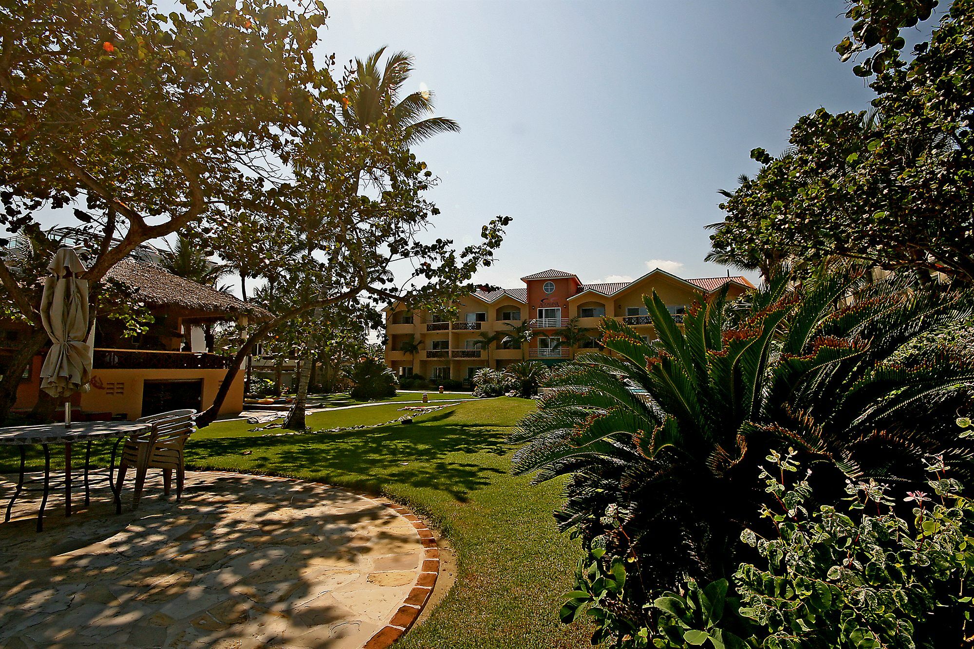 Agualina Kite Cabarete