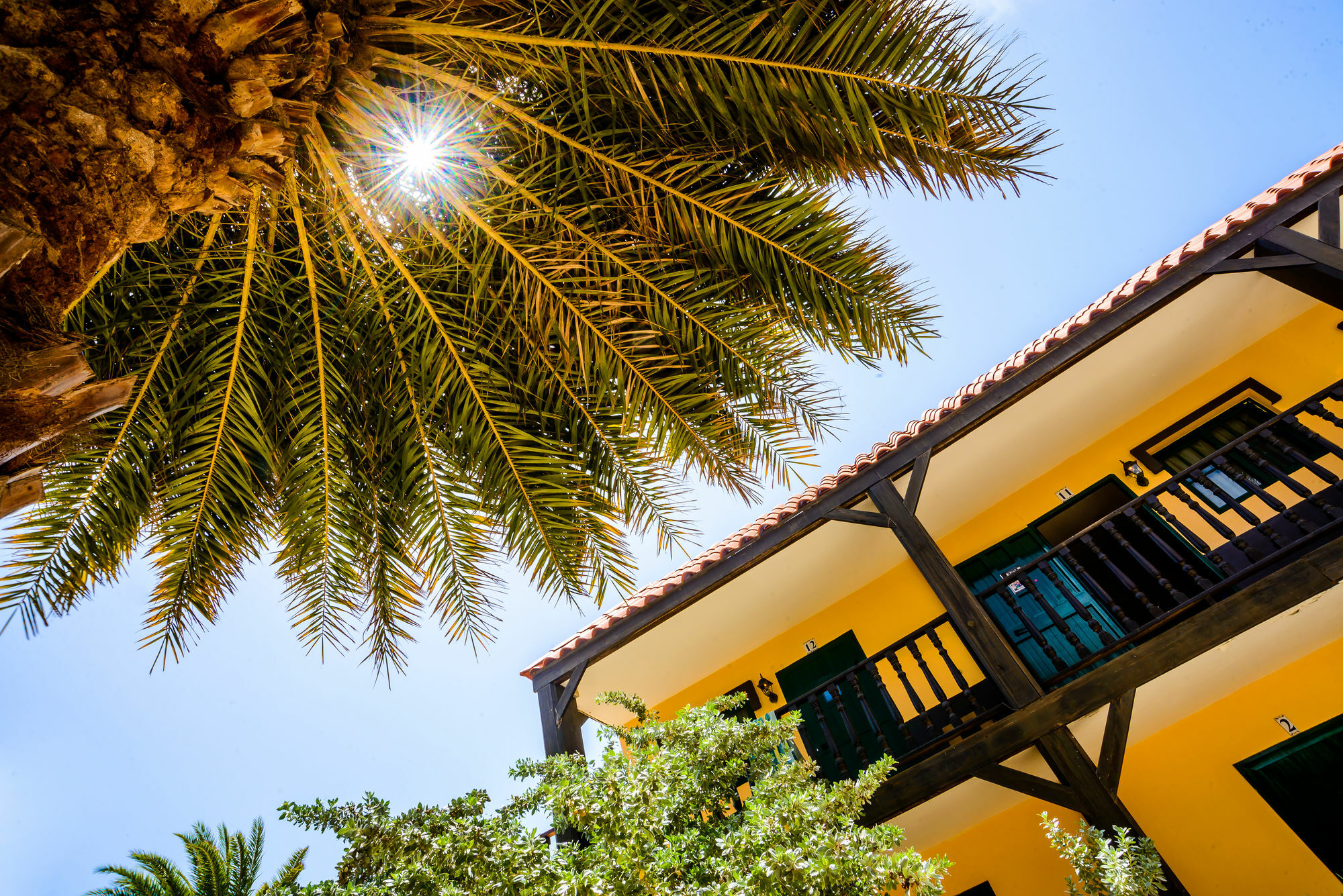 Perle D'or Aruba 3* Palm Beach